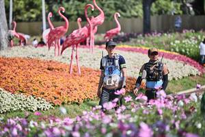 BIB: 
                            <button type="button" onclick="openModal(27793023)" class="btn btn-primary btn-sm float-right btn-popup" data-toggle="modal" data-target=".modal-high-quality">
                        <i class="fas fa-shopping-cart"></i> Add to Cart
                    </button>
                                            <button type="button" onclick="isThisMe(27793023, true)" class="btn btn-success btn-sm float-right btn-popup btn-isme hidden" data-toggle="tooltip" data-placement="bottom" title="นี่คือรูปของคุณใช่ไหม คลิกที่นี่เพื่อเอาเข้าอัลบั้ม">
                        <i class="fas fa-plus"></i> Add to album
                    </button>
                    <button type="button" onclick="isThisMe(27793023, false)" class="btn btn-warning btn-sm float-right btn-popup btn-isnotme hidden">
                        <i class="fas fa-ban"></i> Remove from album
                    </button>